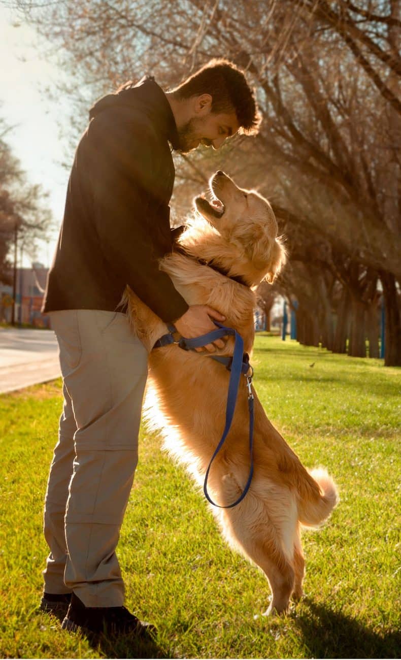 A man in a black jacket and beige pants is joyfully hugging a golden retriever standing on its hind legs. They are in a sunlit park with trees and a path visible in the background, perhaps after visiting the vet. The dog is on a blue leash.