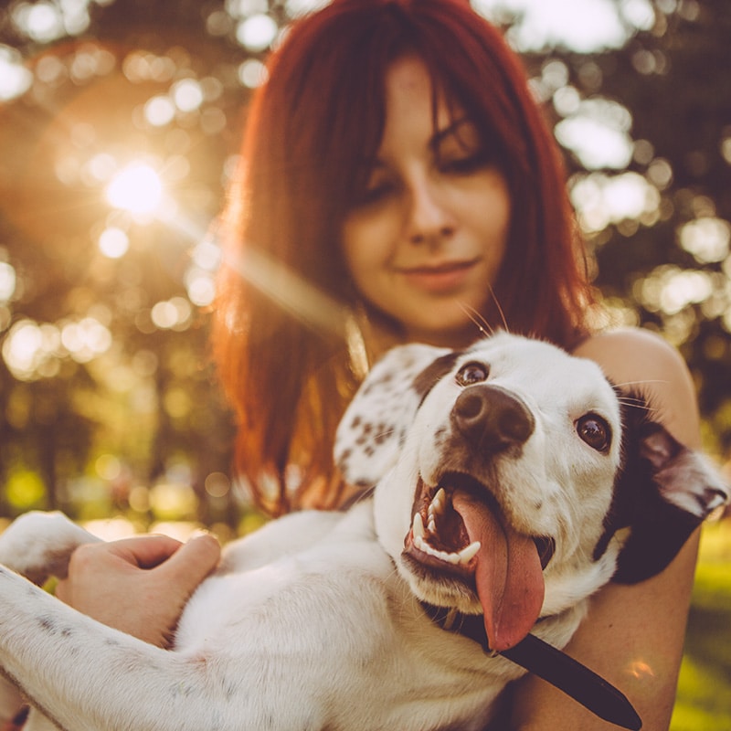 A woman with red hair joyfully holds a happy dog in her arms, just back from the veterinarian. The dog has its tongue out playfully as sunlight filters through trees, creating a warm and cheerful ambiance.