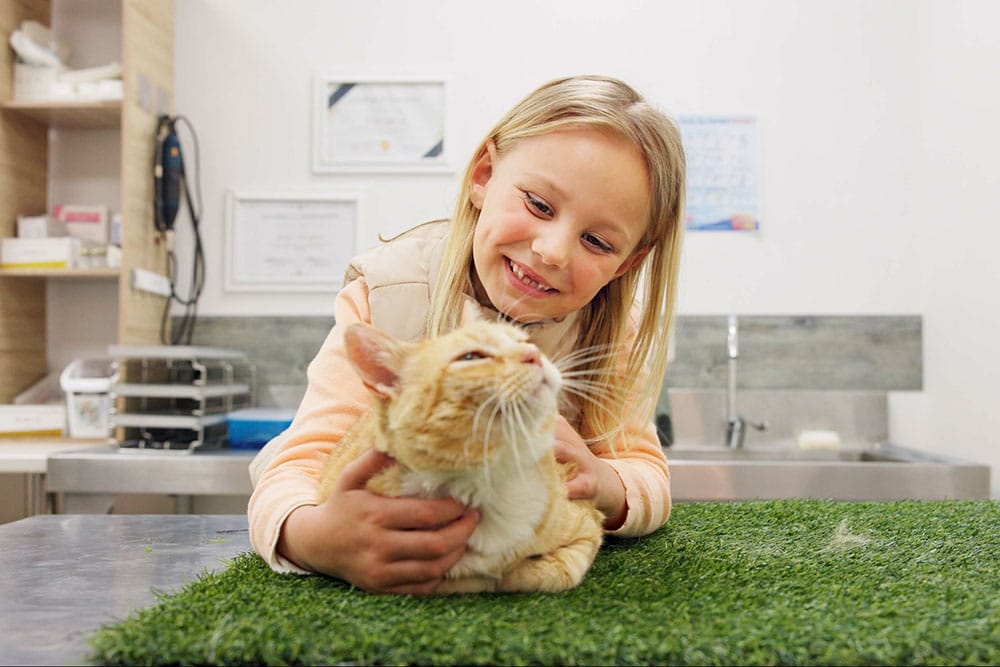 A smiling child with blonde hair gently pets an orange cat on a green grass-covered table in a veterinary clinic. The cat appears content. The background shows a phone and some framed certificates on the wall.