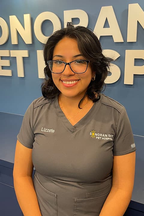 A woman wearing glasses and a gray scrub top with "Lizzete" and "Sonoran Sky Pet Hospital" embroidered on it stands smiling in front of a blue wall with large white letters.