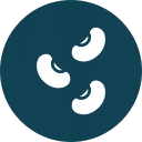 A dark teal circle with three white bean-shaped icons evenly spaced inside, representing three beans or seeds.