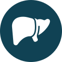 White liver icon on a dark teal circular background, representing the human liver in a simplified, stylized form.